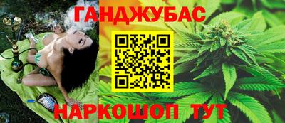 сатива Бузулук