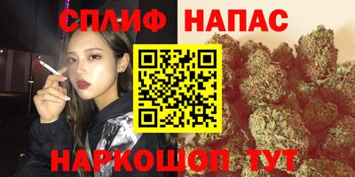 сатива Бузулук