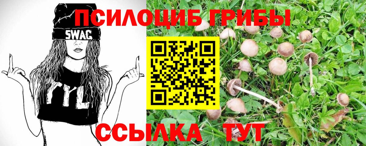Галлюциногенные грибы Psilocybe  Вход с VPN  Мытищи 
